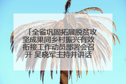 全省巩固拓展脱贫攻坚成果同乡村振兴有效衔接工作动员部署会召开 吴晓军主持并讲话 罗东川作安排部署