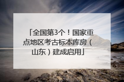 全国第3个！国家重点地区考古标本库房（山东）建成启用