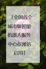 全国首个城市级智能机器人服务中心在潍坊启用