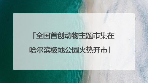 全国首创动物主题市集在哈尔滨极地公园火热开市