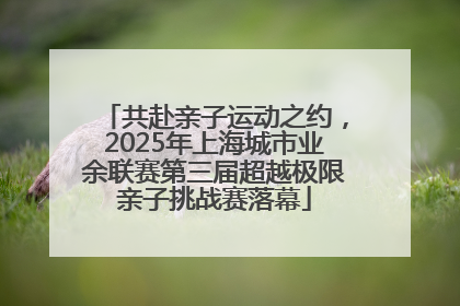 共赴亲子运动之约，2025年上海城市业余联赛第三届超越极限亲子挑战赛落幕