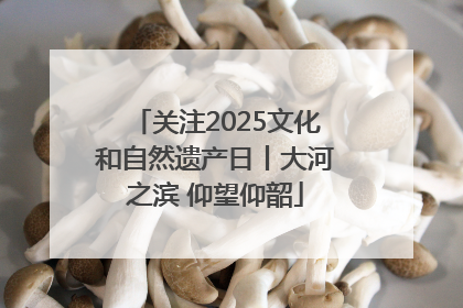 关注2025文化和自然遗产日丨大河之滨 仰望仰韶