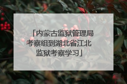 内蒙古监狱管理局考察组到湖北省江北监狱考察学习
