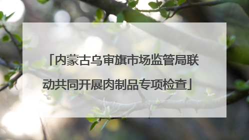 内蒙古乌审旗市场监管局联动共同开展肉制品专项检查