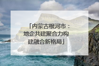 内蒙古根河市：地企共建聚合力构建融合新格局
