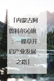 内蒙古阿鲁科尔沁旗：一棵草开启产业发展之路