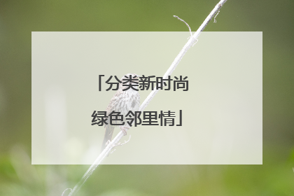 分类新时尚 绿色邻里情