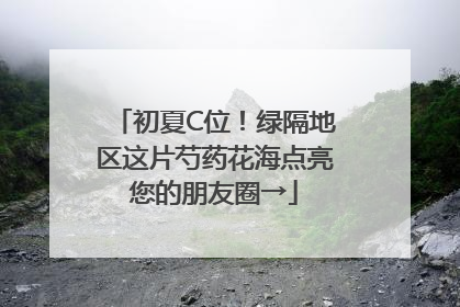 初夏C位！绿隔地区这片芍药花海点亮您的朋友圈→