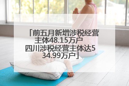 前五月新增涉税经营主体48.15万户 四川涉税经营主体达534.99万户