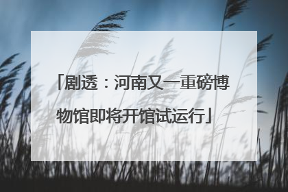 剧透：河南又一重磅博物馆即将开馆试运行