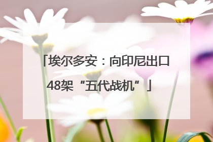 埃尔多安：向印尼出口48架“五代战机”