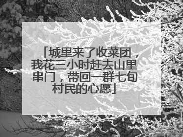 城里来了收菜团，我花三小时赶去山里串门，带回一群七旬村民的心愿