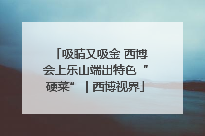 吸睛又吸金 西博会上乐山端出特色“硬菜”｜西博视界