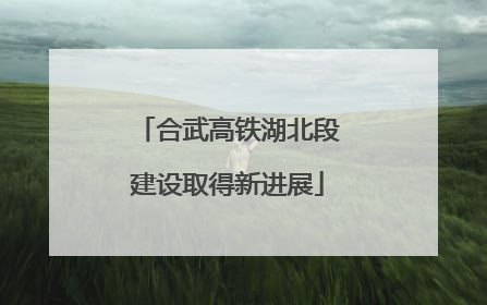 合武高铁湖北段建设取得新进展