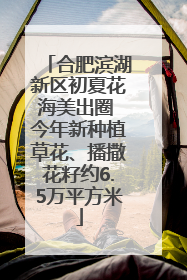 合肥滨湖新区初夏花海美出圈 今年新种植草花、播撒花籽约6.5万平方米