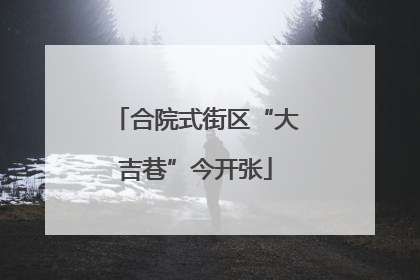 合院式街区“大吉巷”今开张
