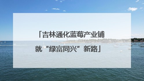 吉林通化蓝莓产业铺就“绿富同兴”新路