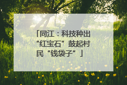 同江：科技种出“红宝石”鼓起村民“钱袋子”