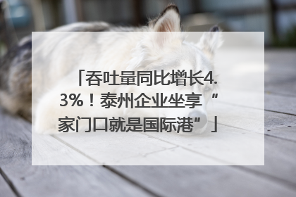 吞吐量同比增长4.3%！泰州企业坐享“家门口就是国际港”
