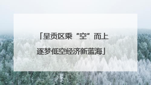 呈贡区乘“空”而上 逐梦低空经济新蓝海