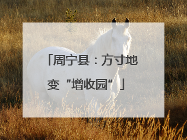 周宁县：方寸地变“增收园”