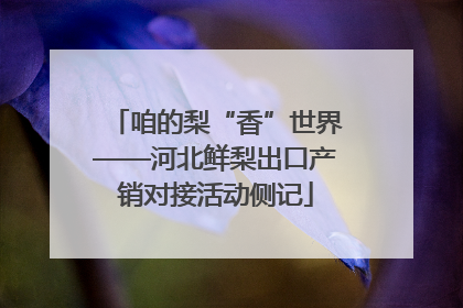 咱的梨“香”世界——河北鲜梨出口产销对接活动侧记