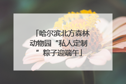 哈尔滨北方森林动物园“私人定制”粽子迎端午