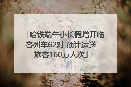 哈铁端午小长假增开临客列车62对 预计运送旅客160万人次