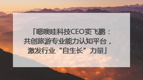嗯噢哇科技CEO窦飞鹏：共创旅游专业能力认知平台，激发行业“自生长”力量