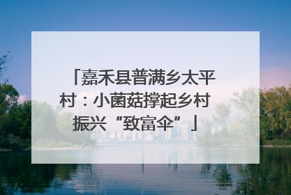 嘉禾县普满乡太平村：小菌菇撑起乡村振兴“致富伞”