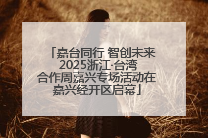 嘉台同行 智创未来 2025浙江·台湾合作周嘉兴专场活动在嘉兴经开区启幕