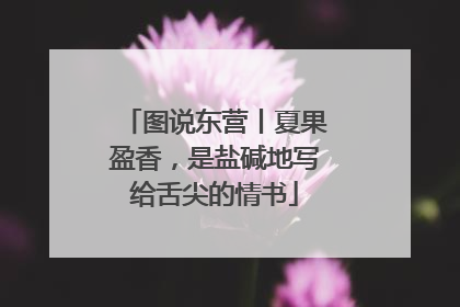 图说东营丨夏果盈香，是盐碱地写给舌尖的情书