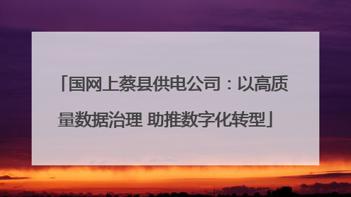 国网上蔡县供电公司：以高质量数据治理 助推数字化转型