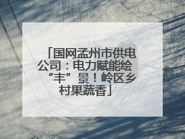 国网孟州市供电公司：电力赋能绘“丰”景！岭区乡村果蔬香