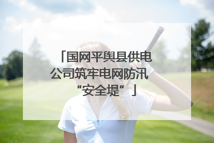 国网平舆县供电公司筑牢电网防汛“安全堤”