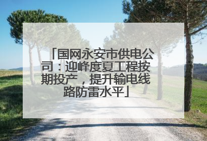 国网永安市供电公司：迎峰度夏工程按期投产，提升输电线路防雷水平