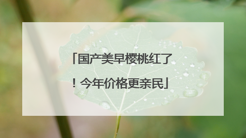 国产美早樱桃红了！今年价格更亲民