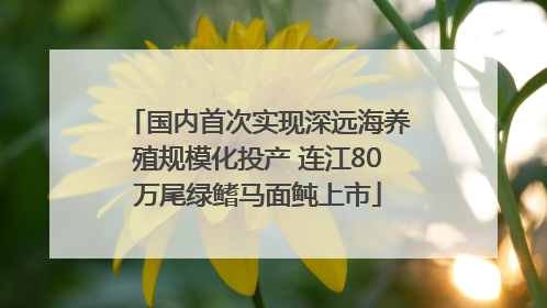 国内首次实现深远海养殖规模化投产 连江80万尾绿鳍马面鲀上市