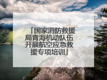国家消防救援局青海机动队伍开展航空应急救援专项培训