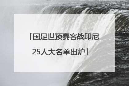 国足世预赛客战印尼25人大名单出炉
