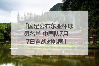 国足公布东亚杯球员名单 中国队7月7日首战对韩国