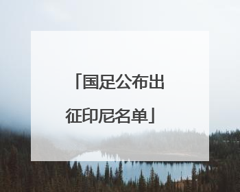 国足公布出征印尼名单