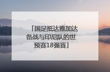 国足抵达雅加达备战与印尼队的世预赛18强赛