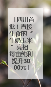 四川首批！直接生食的“牛奶玉米”亮相，每亩纯利提升3000元