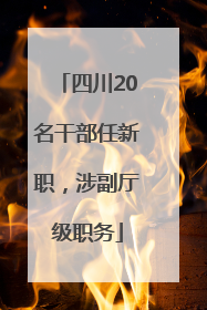 四川20名干部任新职，涉副厅级职务