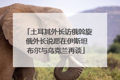 土耳其外长访俄斡旋 俄外长说愿在伊斯坦布尔与乌克兰再谈