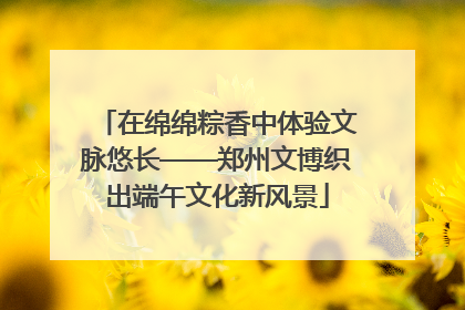 在绵绵粽香中体验文脉悠长——郑州文博织出端午文化新风景