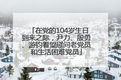 在党的104岁生日到来之际，尹力、殷勇、游钧看望慰问老党员和生活困难党员