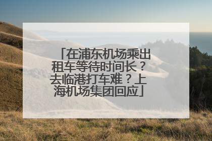 在浦东机场乘出租车等待时间长？去临港打车难？上海机场集团回应