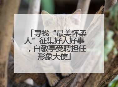 寻找“最美怀柔人”征集好人好事，白敬亭受聘担任形象大使